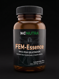 FEM-Esssence