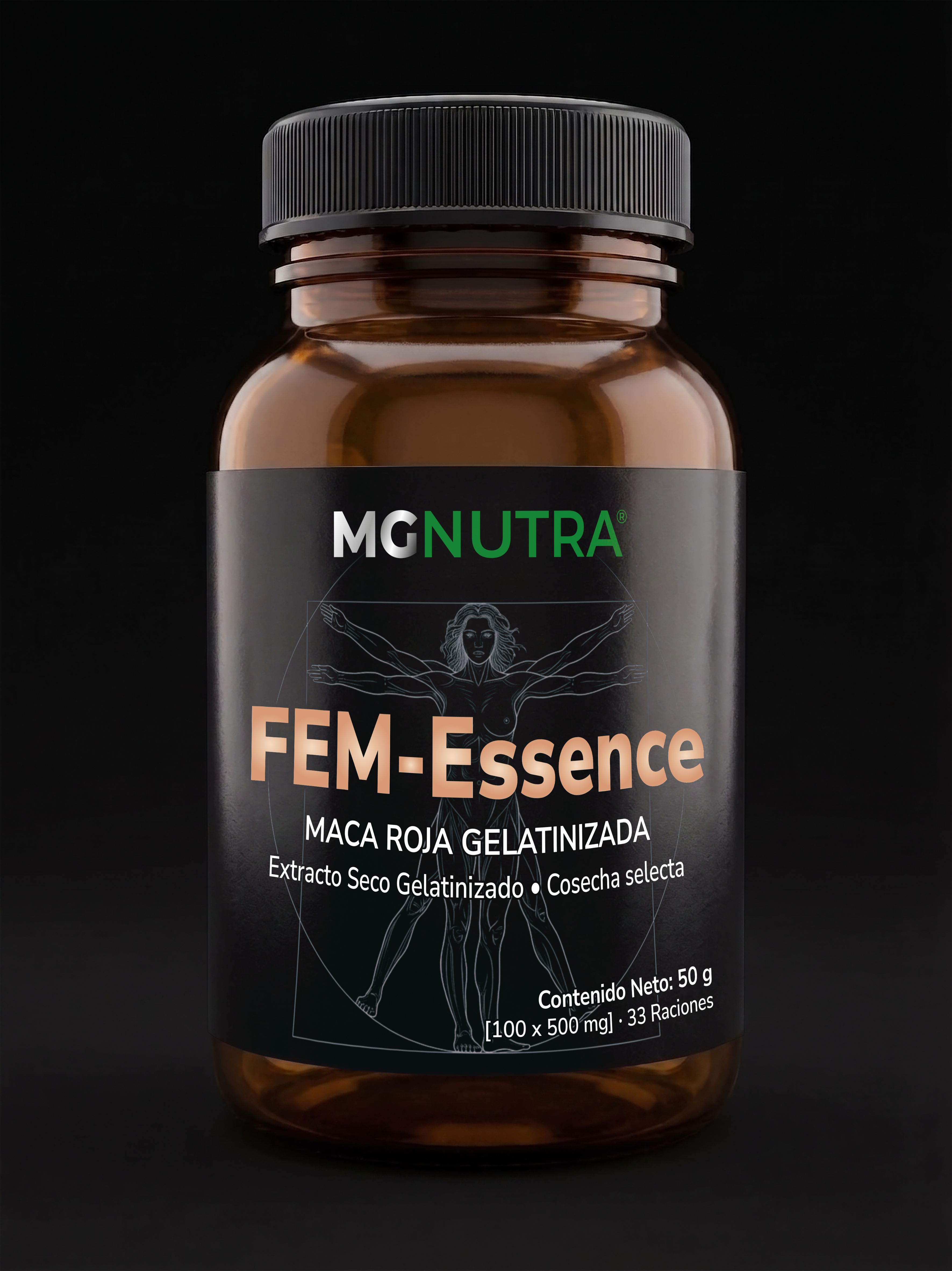 FEM-Esssence